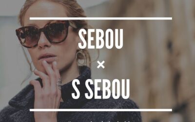 Píše se „s sebou“, nebo „sebou“