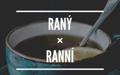 RANNÍ, nebo RANÝ?